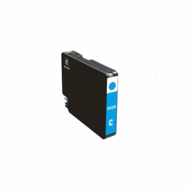 PGI-29 C / 4873 B 001