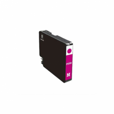 PGI-29 M / 4874 B 001
