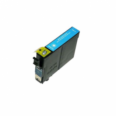 603XL / C 13 T 03A24010